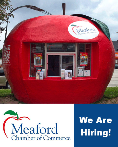 chamber apple hiring